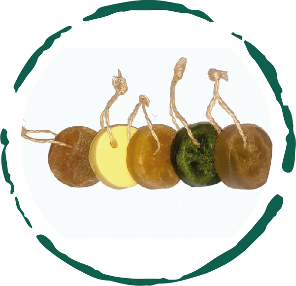 Artisanal Soap Collection 